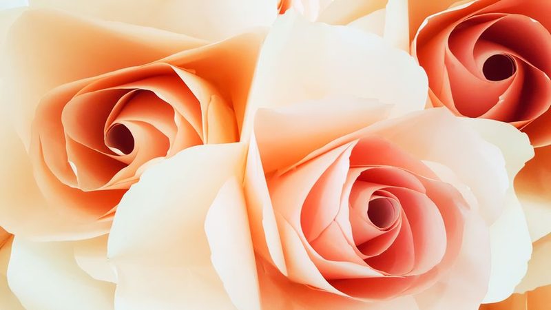 Single Rose Gift Stem